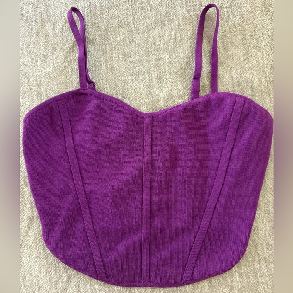 Aritzia Babaton Sculpt Knit Bustier
Size Small